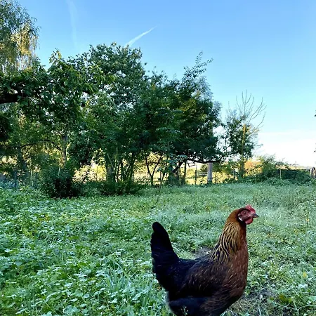 Фермерский дом Cavalan Ranch