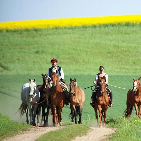 Cavalan Ranch ファームステイ Wardow